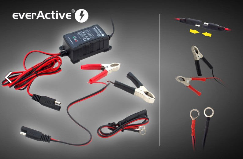 Cargador de cargador 6V / 12V everActive CBC-1