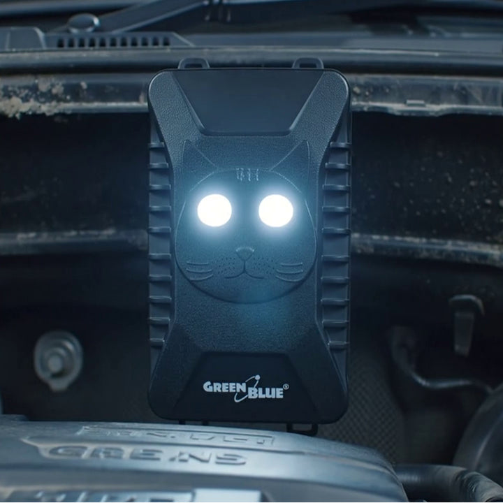 GreenBlue GB725 Ahuyentador de roedores y martas con ultrasonidos y luces LED