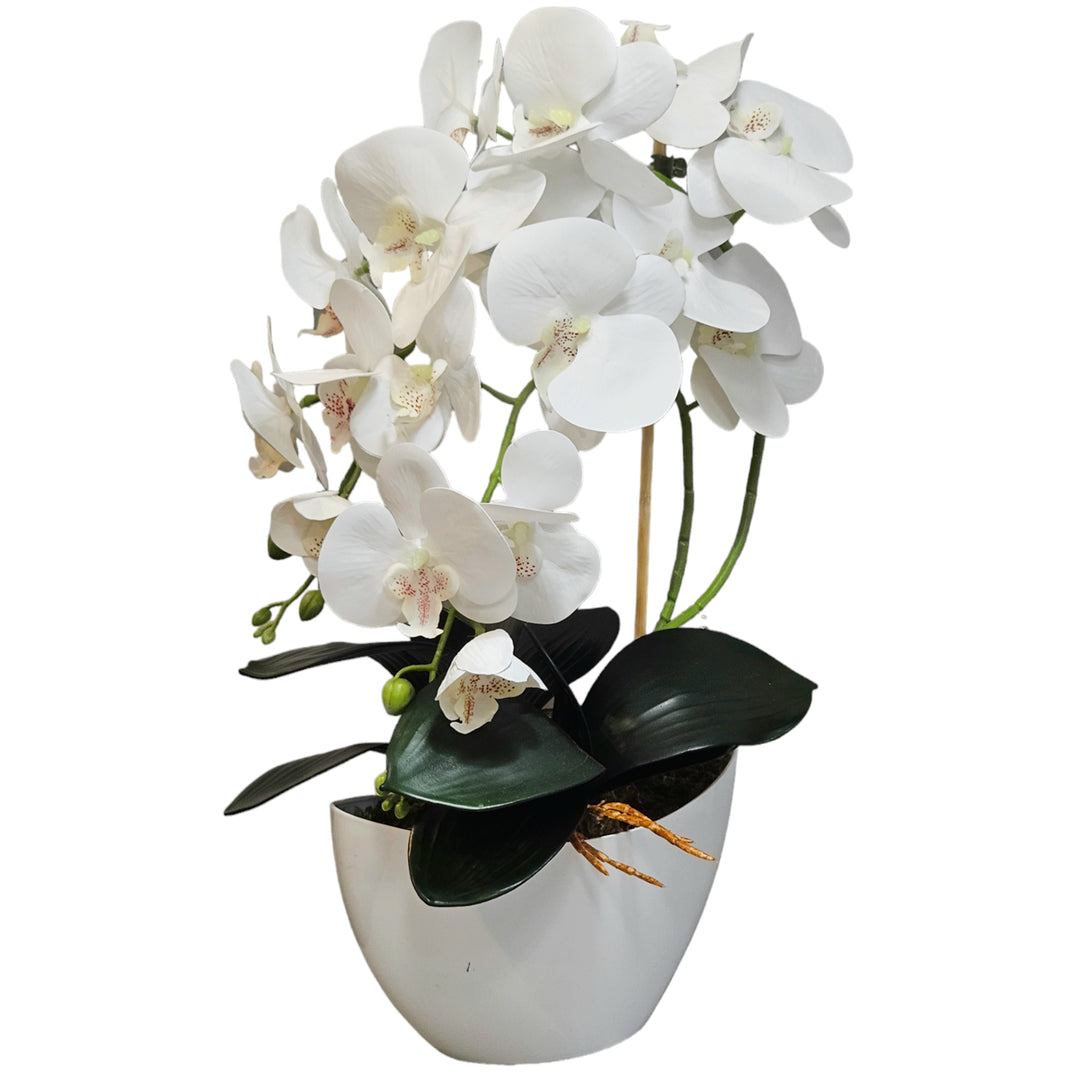 Orquídea artificial em vaso Damich, planta, flor artificial, decoração de orquídea artificial, 2 ramos de flores, altura aproximada de 50 cm (branca)