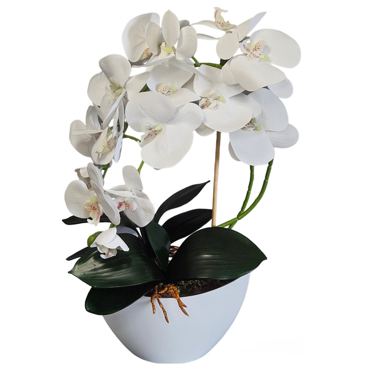 Orquídea artificial em vaso Damich, planta, flor artificial, decoração de orquídea artificial, 2 ramos de flores, altura aproximada de 50 cm (branca)