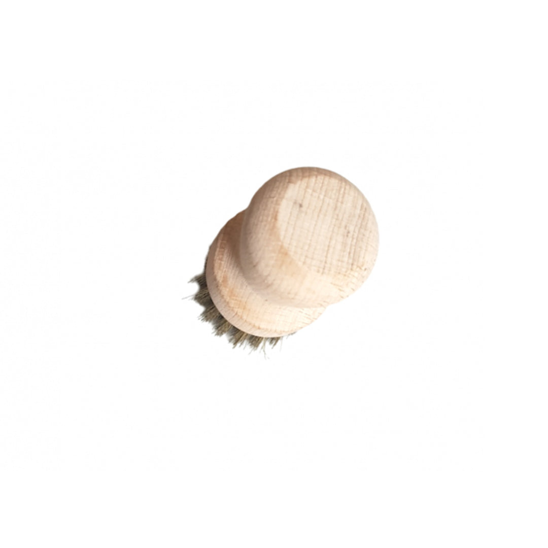 Escova de limpeza Starmann, escova para panelas, escova para pratos, madeira de faia, cerdas em latão, 003/4770