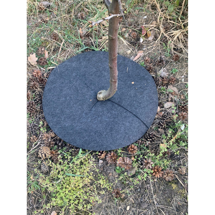 Bertoni Juego de discos antihierba, 6 piezas, 50 cm, gris