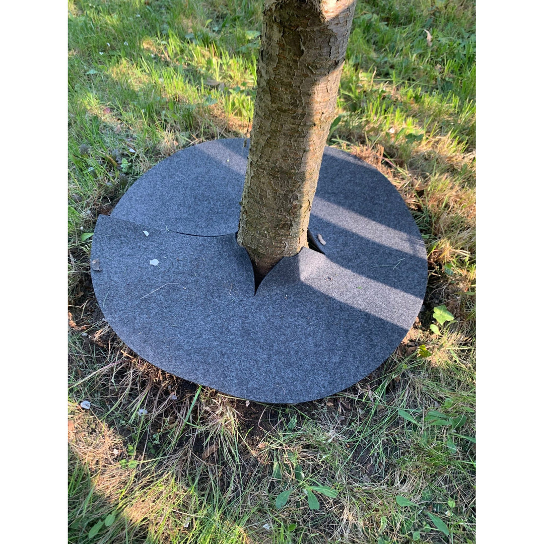 Bertoni Juego de discos antihierba, 6 piezas, 50 cm, gris