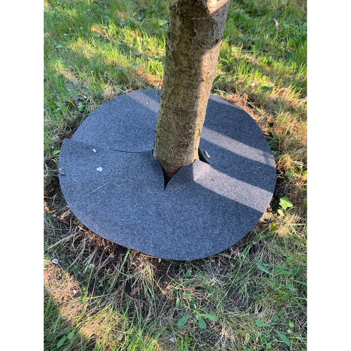 Bertoni Juego de discos antihierba, 6 piezas, 50 cm, gris
