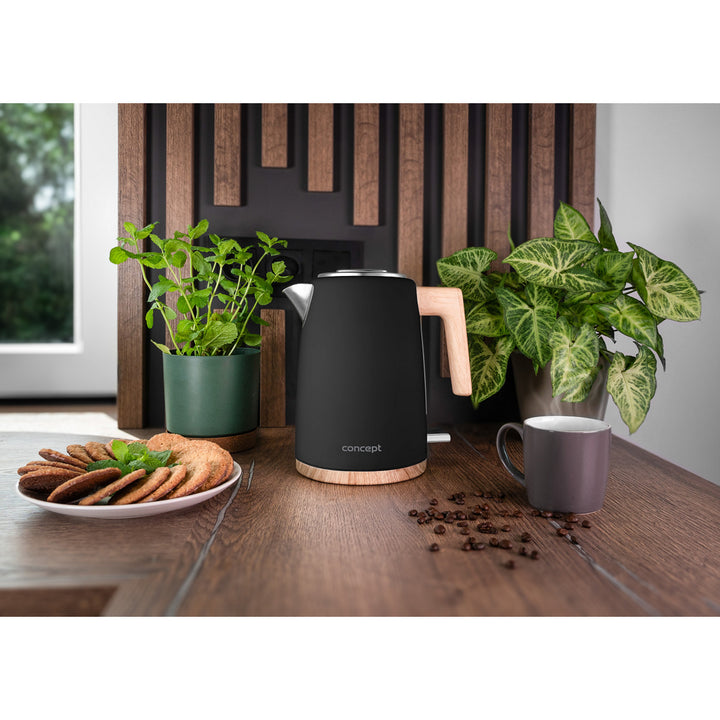 Concept ELWOOD Hervidor eléctrico, Acero inoxidable, 1,7L, Indicador de nivel de agua, RK3316