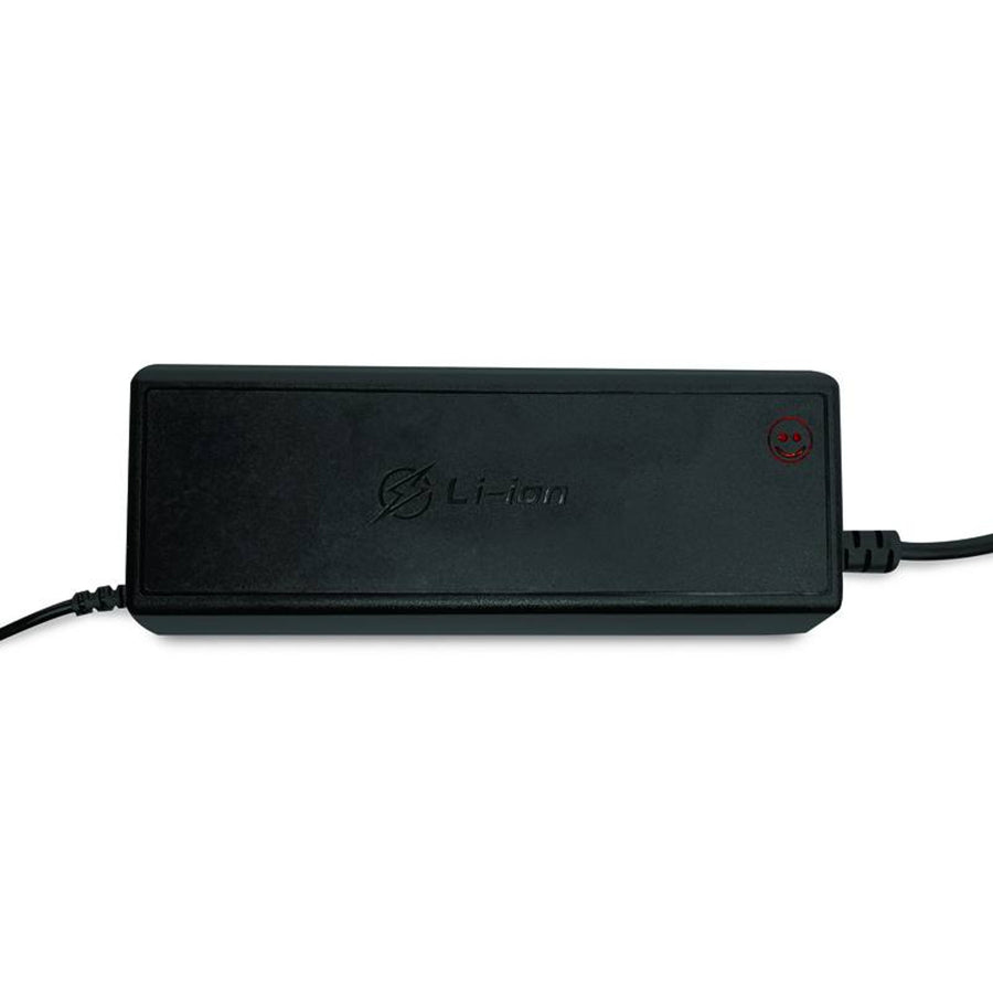 LTC Energy LiFePO4 Rectificador de batería, BMS, 20A, 230/14,6V, 300W de potencia, protecciones incorporadas, LXPOE20