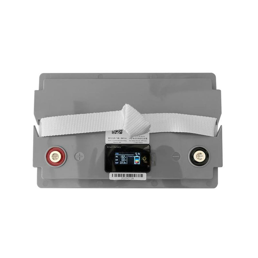 Batería LiFePo4 de fosfato de hierro y litio Lexton, con BMS, 12,8 V, 70 Ah, LXLFP70 + rectificador de batería LiFePO4 de LTC Energy