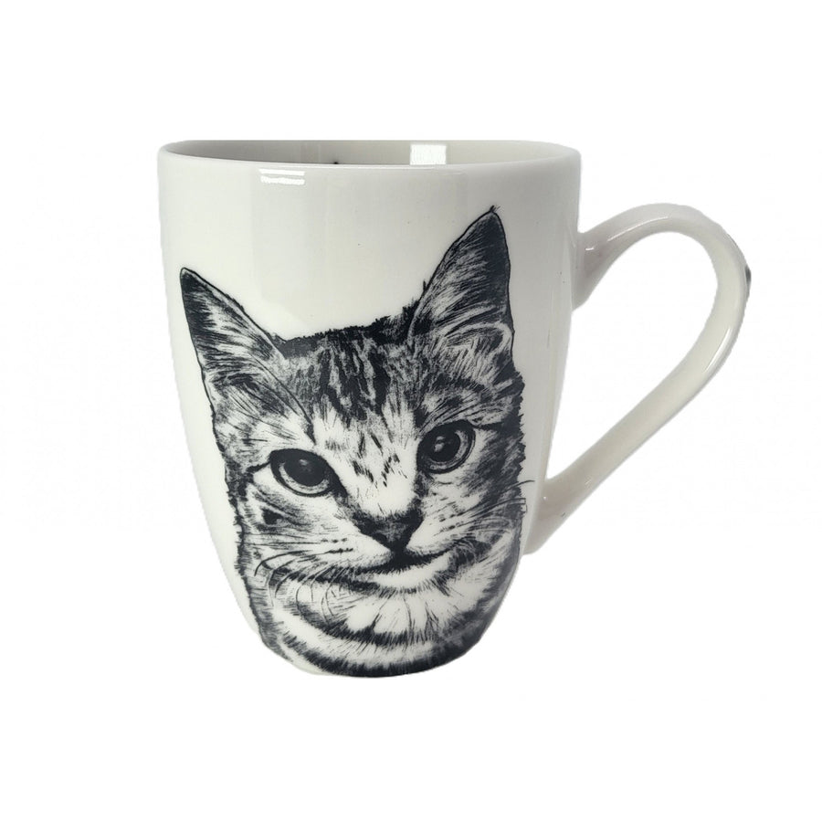 Taza de porcelana Reina Isabel, gata americana de pelo corto, 350ml, Q1-05195