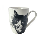 Taza de porcelana Reina Isabel, gato europeo, 350ml, Q1-05218