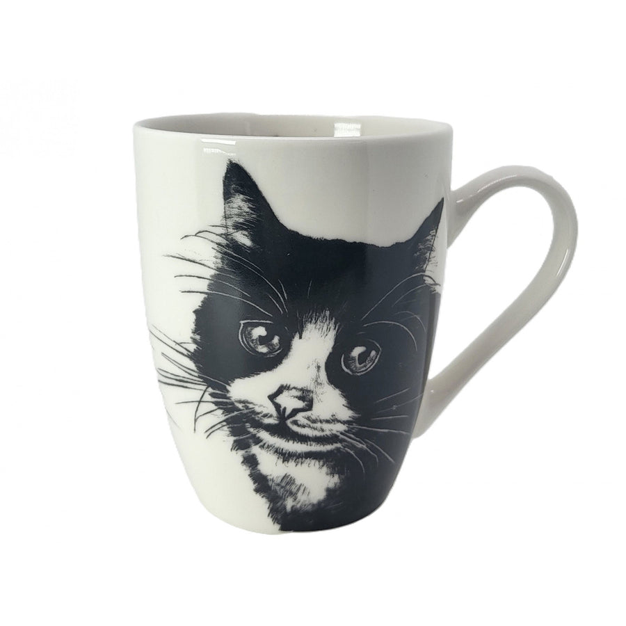 Taza de porcelana Reina Isabel, gato europeo, 350ml, Q1-05218