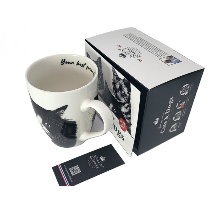 Taza de porcelana Reina Isabel, gato europeo, 350ml, Q1-05218