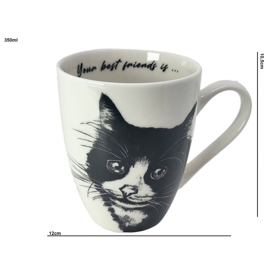 Taza de porcelana Reina Isabel, gato europeo, 350ml, Q1-05218