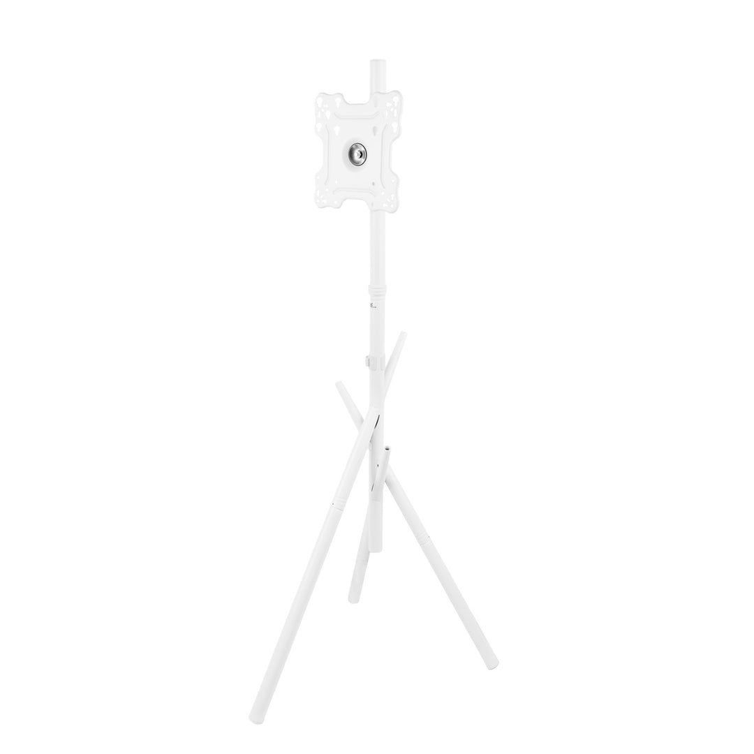 Soporte de suelo para televisor Maclean, 27-55", VESA máx. 200x200, máx. 60 kg, MC-181 W