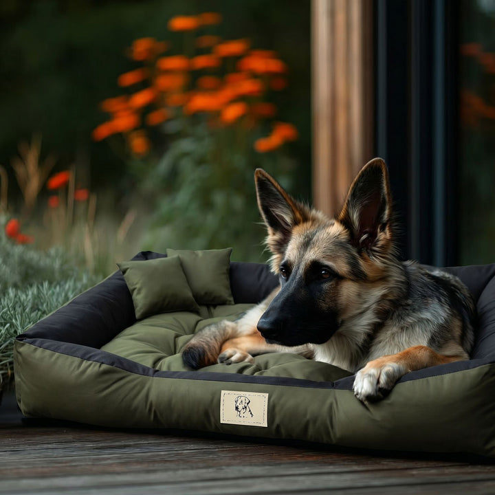 Cama para mascotas GreenBlue, verde, rectangular, dimensiones exteriores: 115 x 95 cm, interiores: 100 x 80 cm GB240 GN