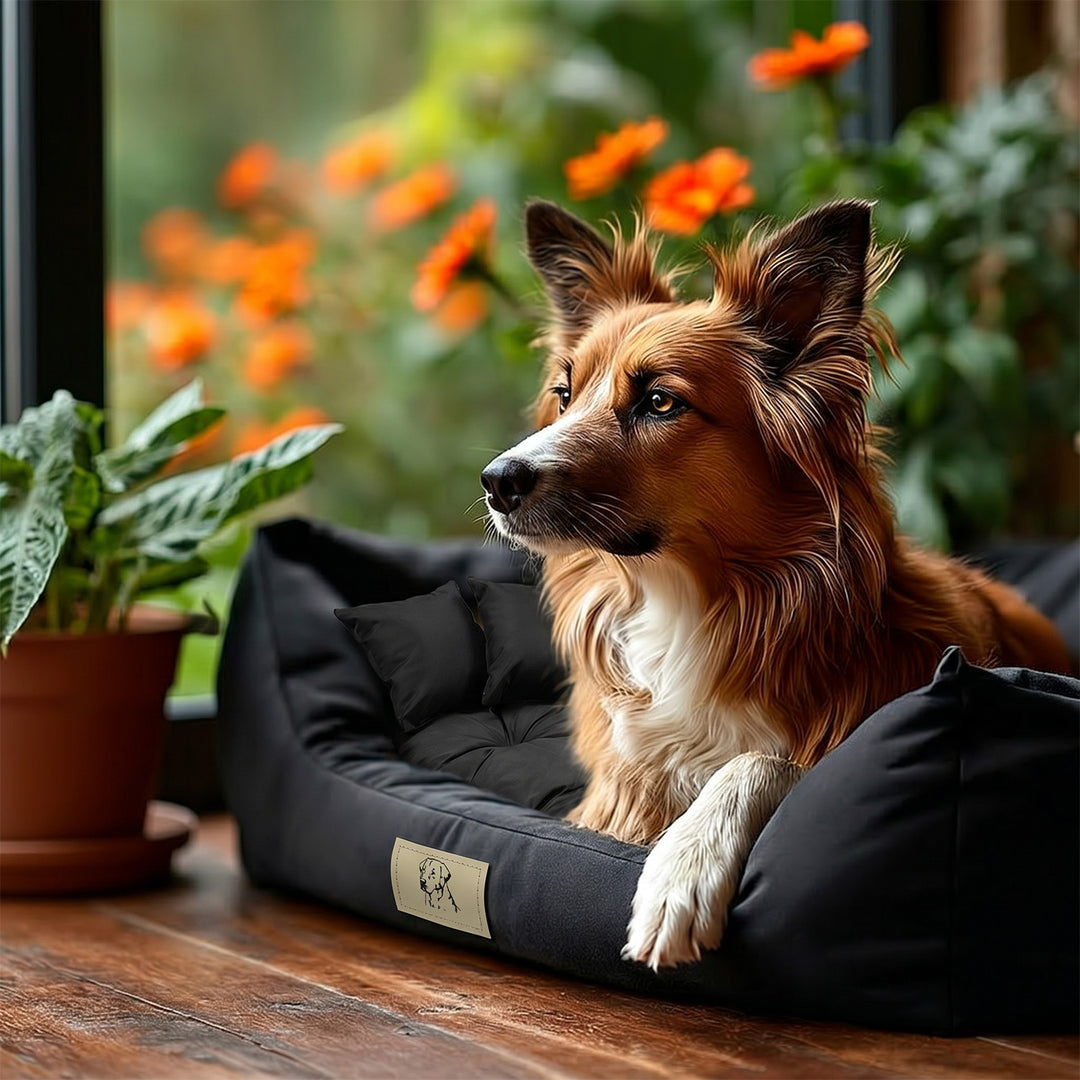 Cama para mascotas GreenBlue, negra, rectangular, dimensiones exteriores: 115 x 95 cm, interiores: 100 x 80 cm GB240 BL