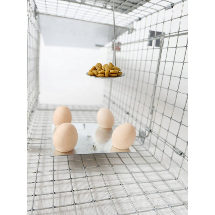 Trampa viva, trampa para martas, ratas, ratones, visones, comadrejas, Viano P1