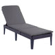 Tumbona de jardín regulable Jaipur Sun Lounger, color grafito + cojín para tumbona Jaipur, color gris oscuro, tejido S-500, dimensiones 190 x 60 cm