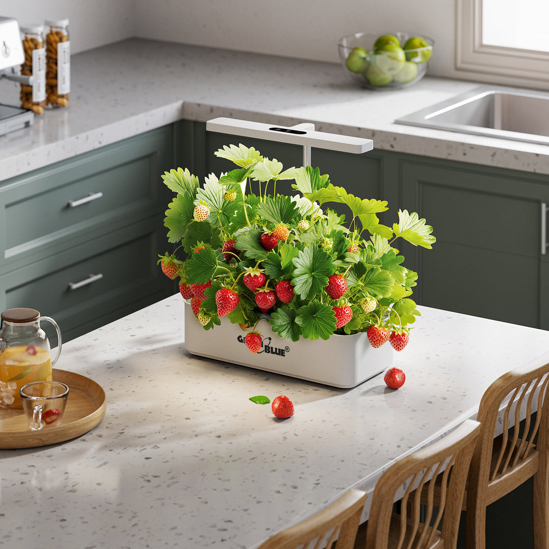 Sistema inteligente de cultivo interior GreenBlue, maceta SMART, capacidad de 4 l, 220-240 V CA, 50/60 Hz, 0,4 A, GB133 + juego de accesorios