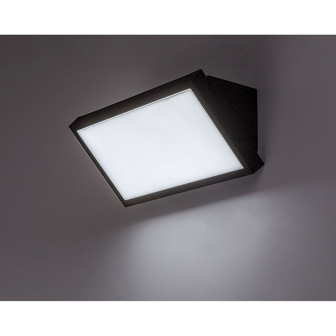 Lámpara Rabalux Rapla2 LED 18 W, negra, IP65, clase energética F, regulación de la temperatura de color: 2700, 4000, 6500 K, 77150, 2 unidades