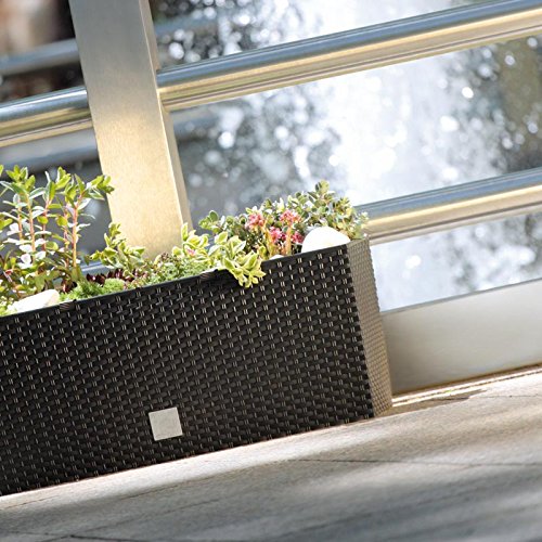 Floreira quadrada imitação rattan 17L umbra Prosperplast Rato DRTC500 440U