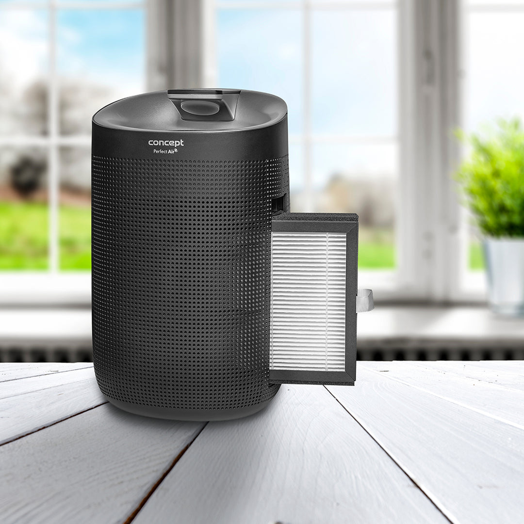 Perfect Air OV1210 Deshumidificador y purificador de aire 2 en 1 750 ml / día para habitaciones de hasta 25m2, filtración de 3 etapas, purificador de aire de habitación con filtro de carbón Hepa 13 1L (negro)