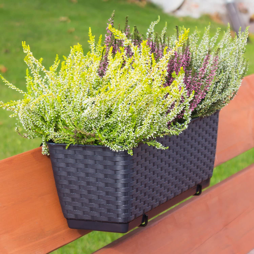 Pote de rattan com ganchos Ratolla DRL500PW antracite