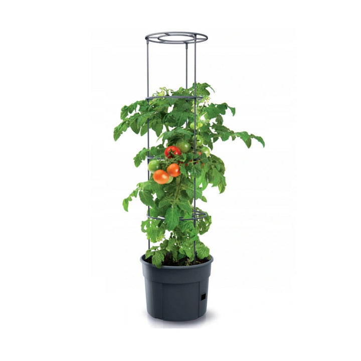 Cultivador de tomate em vaso de tomate de plástico 28L IPOM400-S433