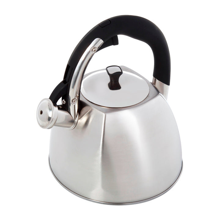 Maestro  Hervidor de agua de acero inoxidable blanco perfecto para su cocina