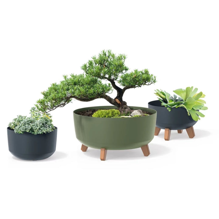 Vaso de flores padrão Gracia com pernas removíveis incl. Inserção para uso interno e externo Plantador de plástico redondo (238 mm, verde)