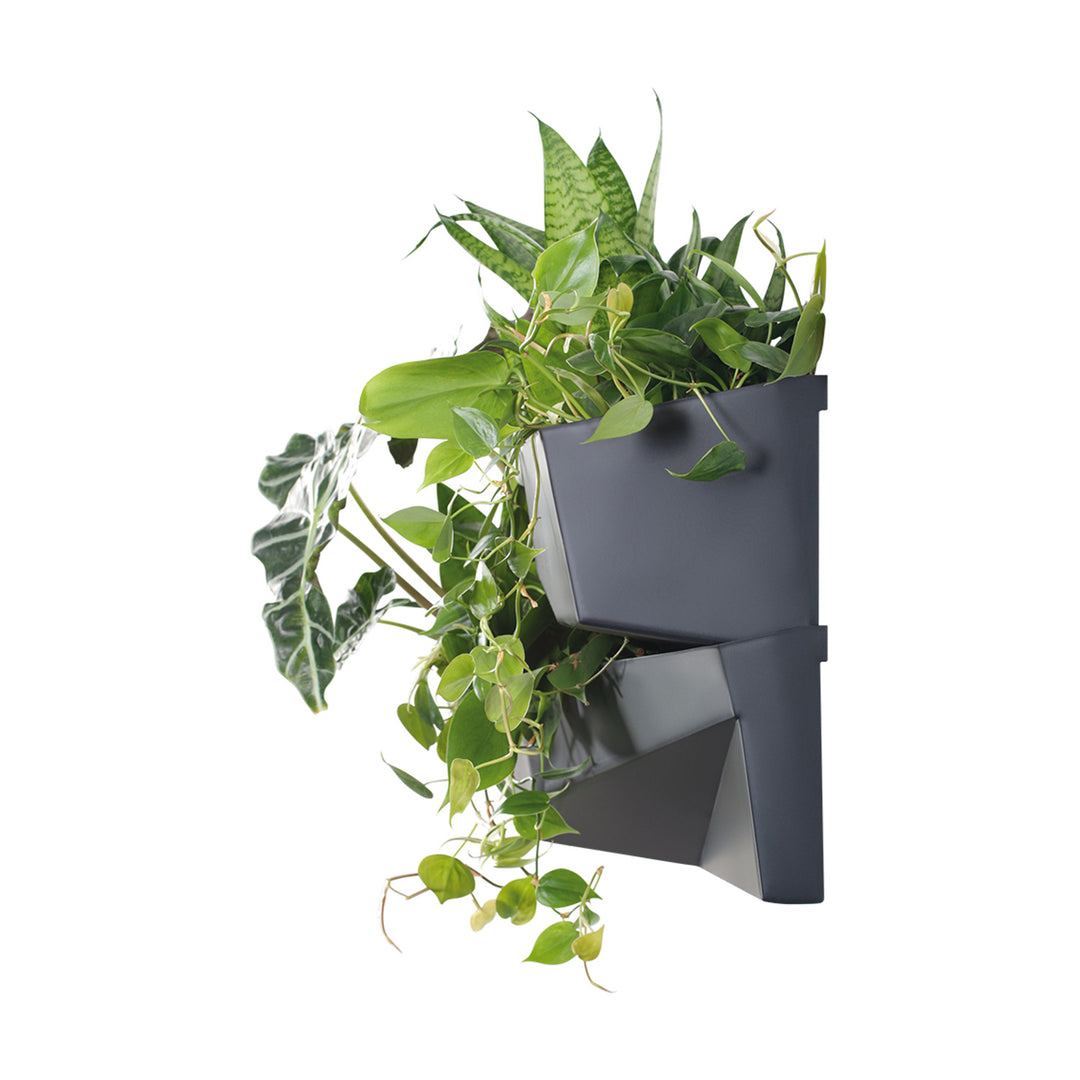 Jardín vertical Prosperplast Cascade Garden Wall IO3W800-S433