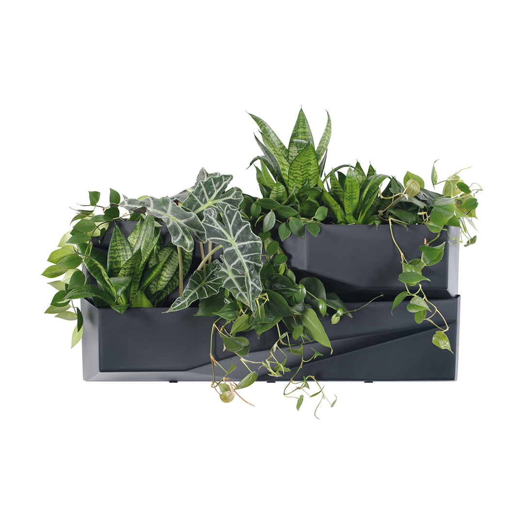 Jardín vertical Prosperplast Cascade Garden Wall IO3W800-S433