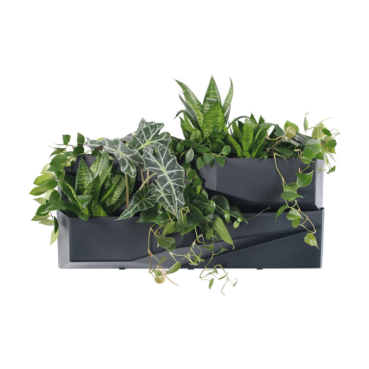Jardín vertical Prosperplast Cascade Garden Wall IO3W800-S433