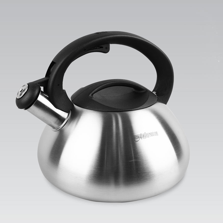 Hervidor con cuerpo de acero inoxidable satinado con silbato