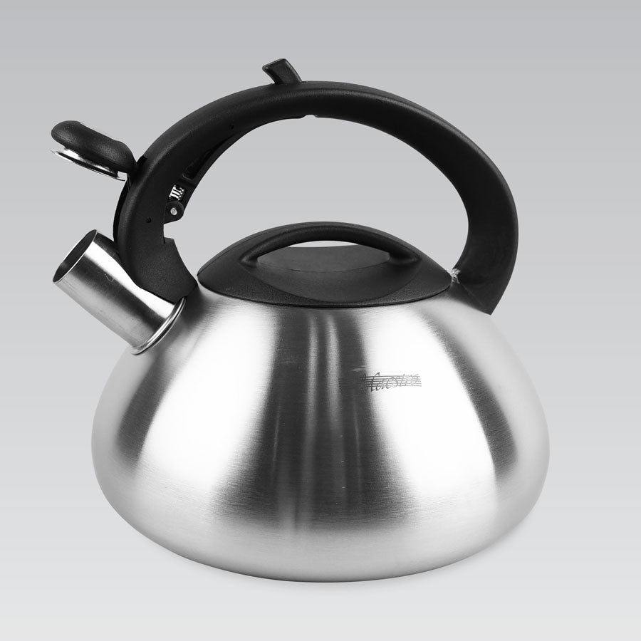 Hervidor con cuerpo de acero inoxidable satinado con silbato
