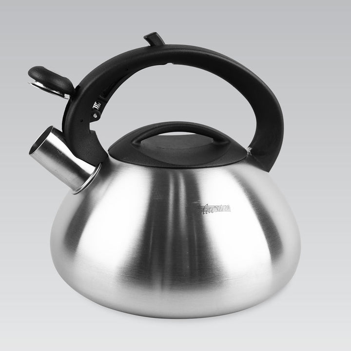 Hervidor con cuerpo de acero inoxidable satinado con silbato