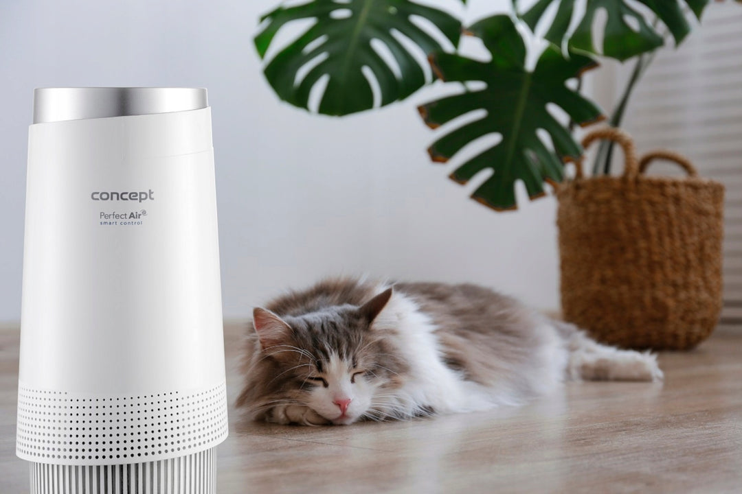 Purificador de ar conceitual, CA1010, Perfect Air Smart