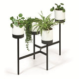 Prosperplast Bloomie Stand Florero Macetero con 4 Macetas 125x55x81,5cm Marco Metálico Color Blanco