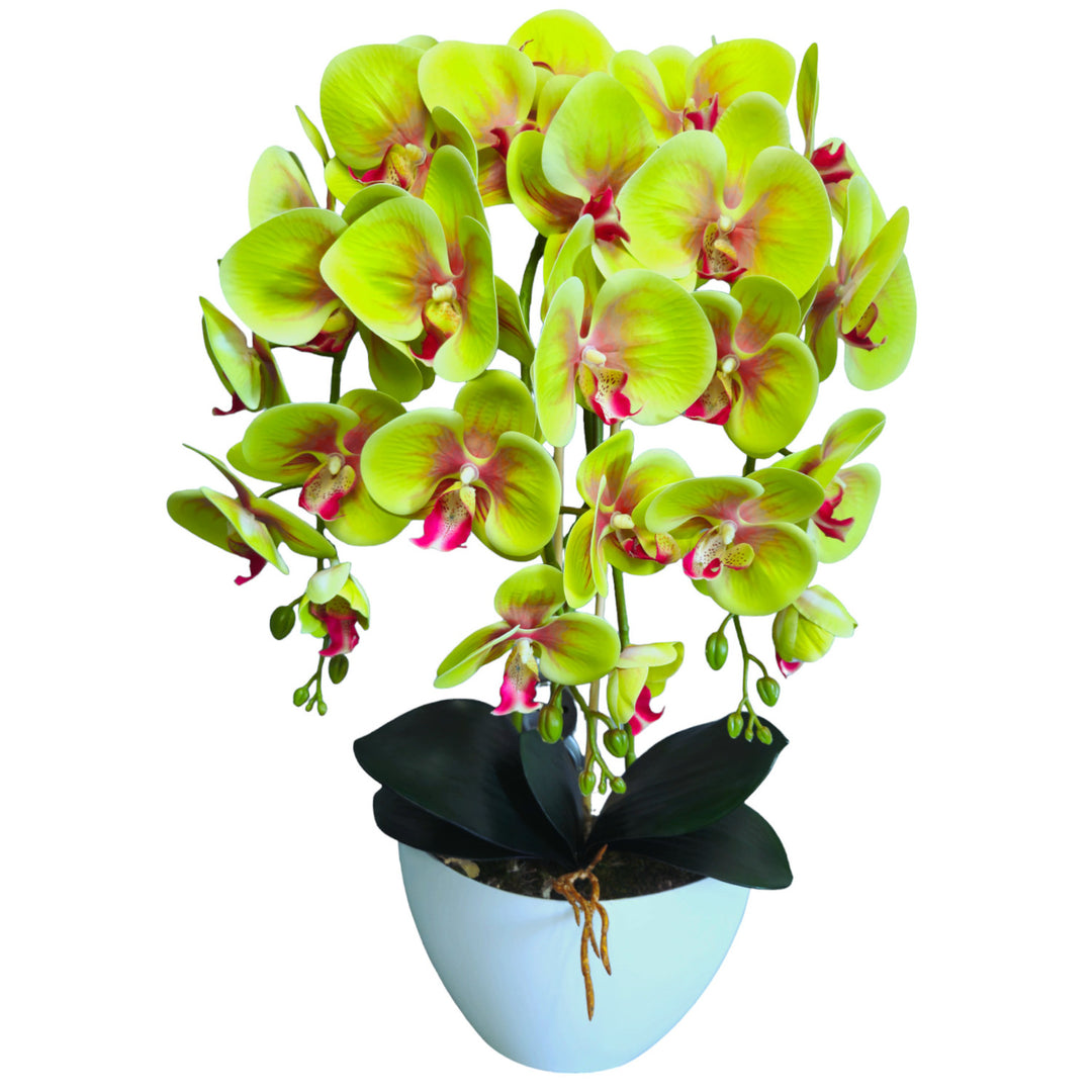 Orquídea de borracha artificial Damich com 3 ramos, verde, 3pgz