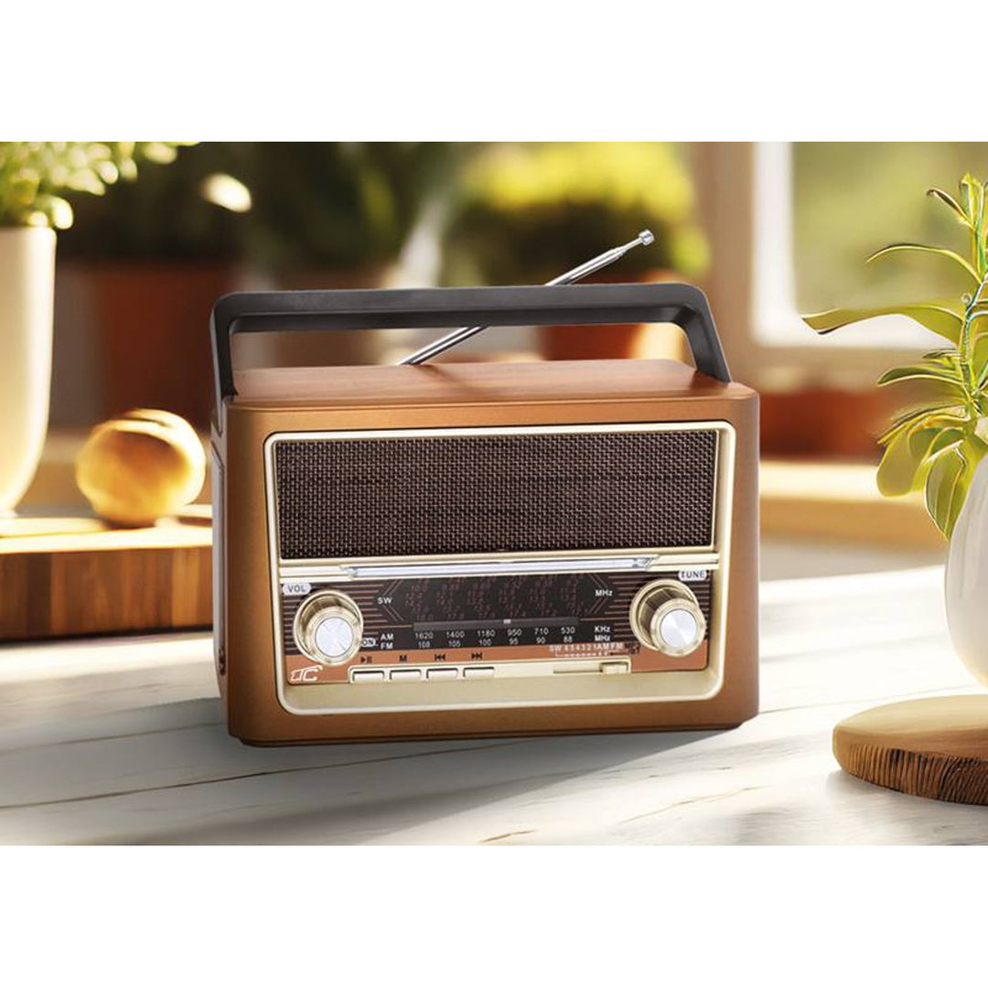 Rádio portátil LTC, Bluetooth, FM/AM/SW, USB, LXLTC118UBT